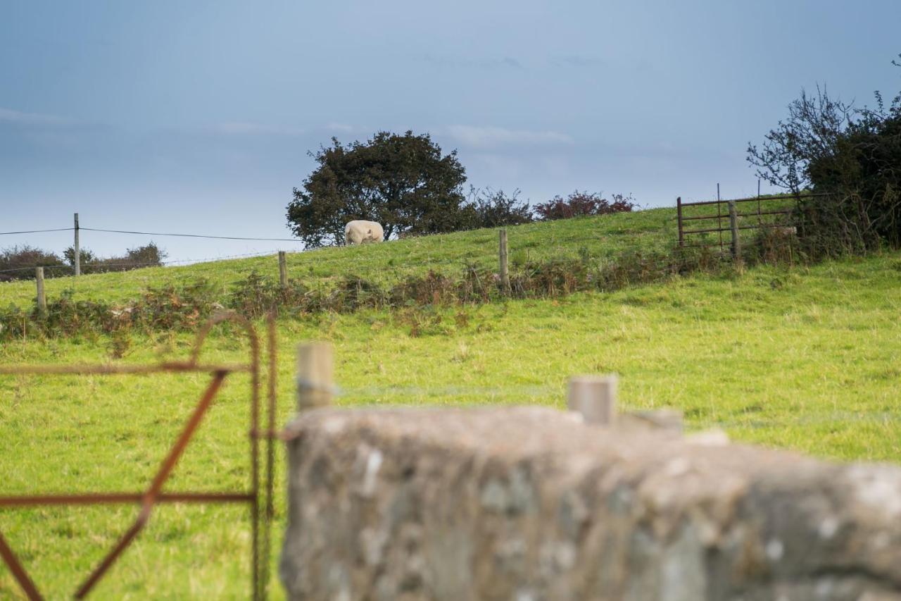 Tyn Lon Vila Moelfre Exterior foto