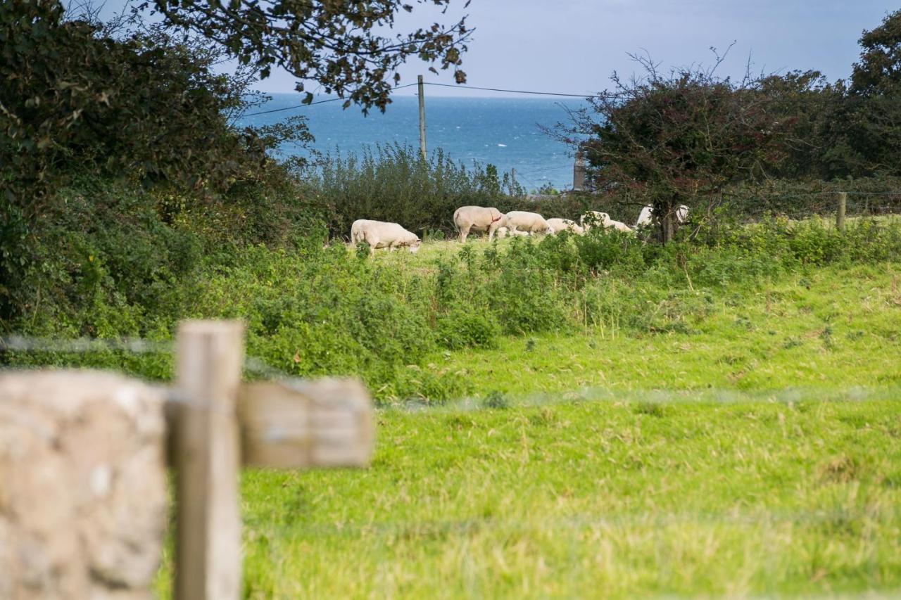 Tyn Lon Vila Moelfre Exterior foto