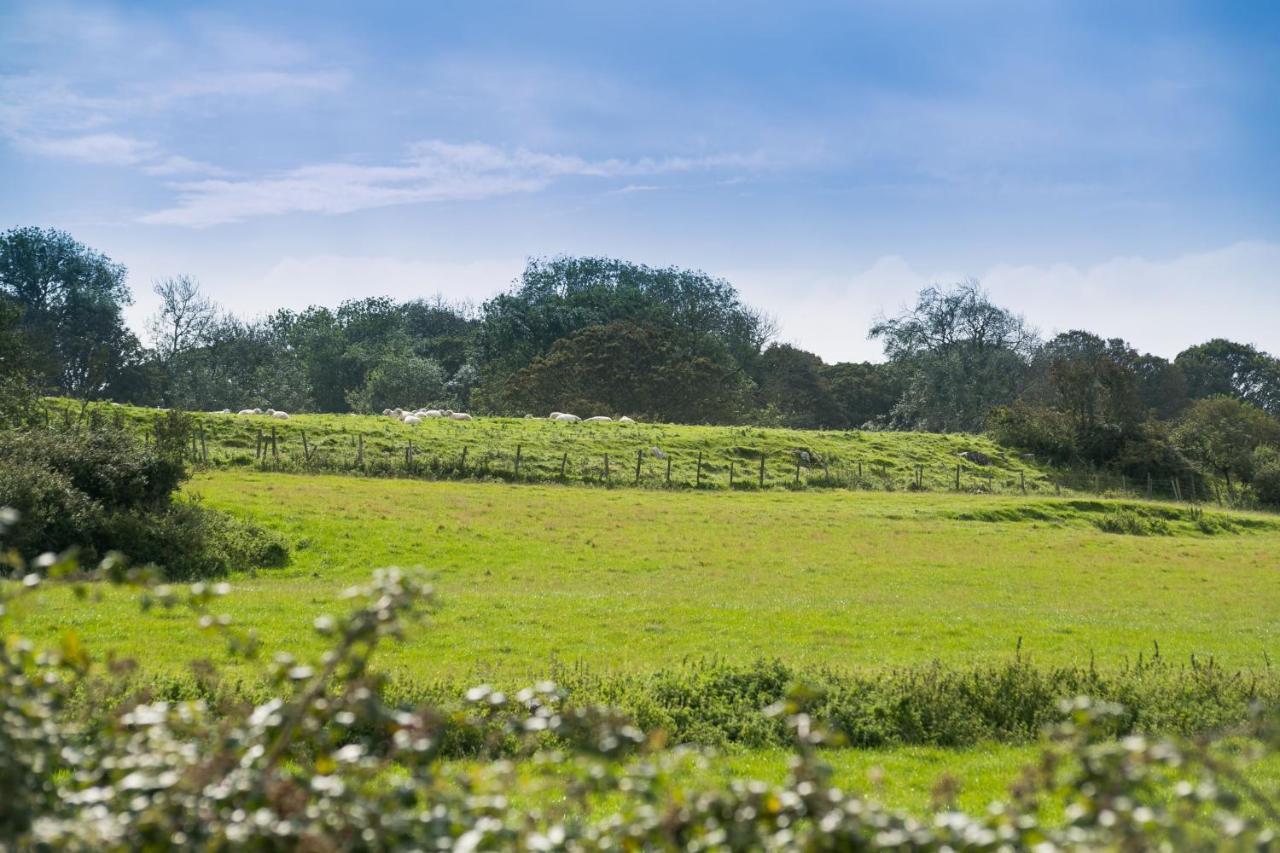 Tyn Lon Vila Moelfre Exterior foto